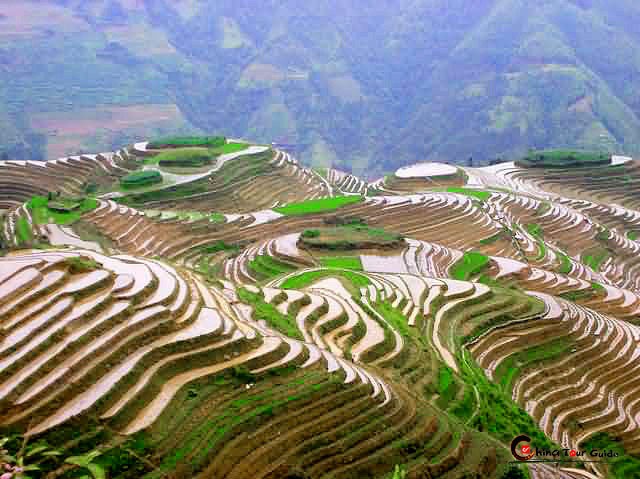 Me dam ruong bac thang nghin nam tuoi o Trung Quoc vao thu-Hinh-8